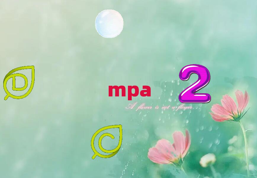 2018W(xu)MPAW(xu)M(fi)