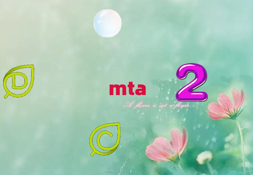 2019WMTAԇrg