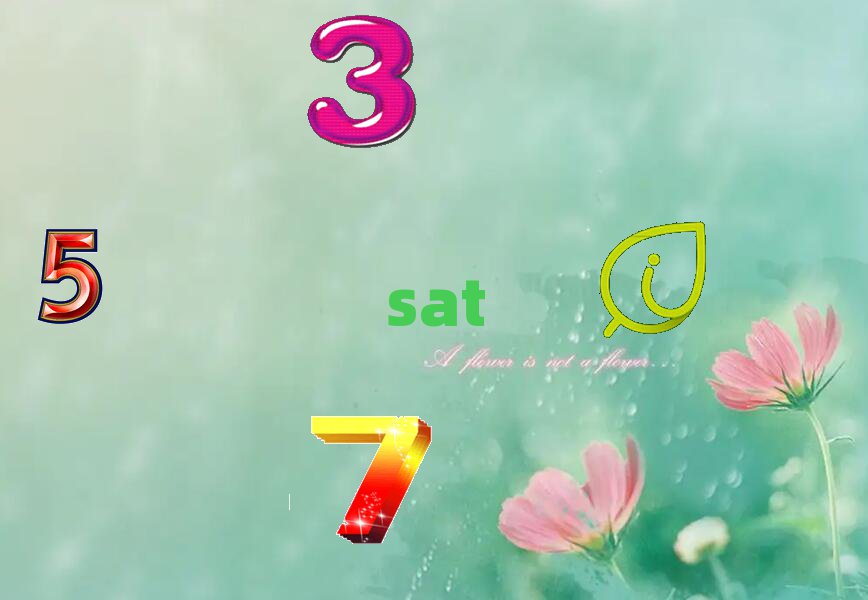 ̫ԭsatW(xu)У